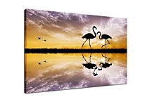 Obraz na stenu Pár plameniakov zs4292