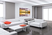 Obraz na stenu Pár plameniakov zs4292