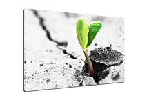 Obrazy Prírody zs24410