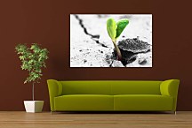 Obrazy Prírody zs24410