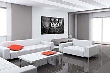 Obraz na stenu Sova zs4022