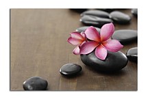 Obraz na stenu Spa zs4080