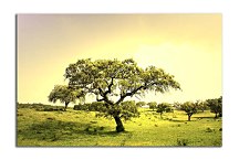 Obraz na stenu Strom zs5448