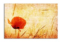 Obraz na stenu Červený kvet zs6247