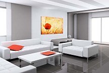 Obraz na stenu Červený kvet zs6247