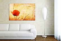 Obraz na stenu Červený kvet zs6247