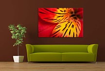 Obraz s Kvetom zs4293