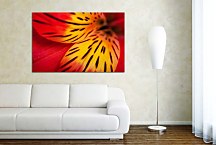 Obraz s Kvetom zs4293