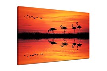Obraz s Plameniakmi zs4088