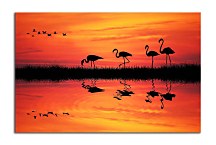 Obraz s Plameniakmi zs4088
