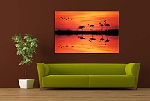 Obraz s Plameniakmi zs4088