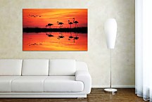 Obraz s Plameniakmi zs4088