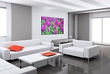 Obraz s Tulipánmi zs4238