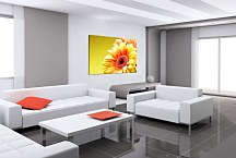 Obraz s gerberou zs5240