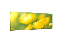 Obraz s kvetmi Panoráma zs91