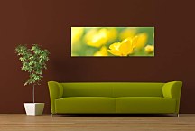 Obraz s kvetmi Panoráma zs91