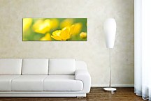 Obraz s kvetmi Panoráma zs91