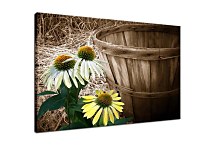 Obraz s kvetmi zs6068