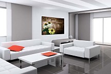 Obraz s kvetmi zs6068