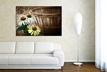 Obraz s kvetmi zs6068