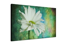 Obraz s kvetom zs6184