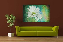 Obraz s kvetom zs6184