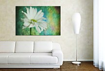 Obraz s kvetom zs6184