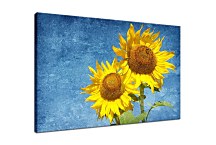 Obraz so Slnečnicou zs6937