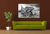 Obraz čiernobiele foto zs4411