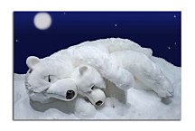 Obraz Ľadové medvede zs4611