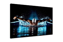 Obraz Šport - Plavec zs16501