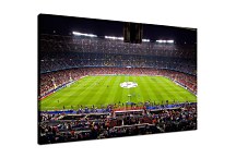 Obraz Štadión zs24435