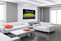 Obraz Štadión zs24435