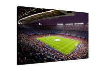 Obraz Štadión zs24436