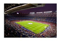 Obraz Štadión zs24436