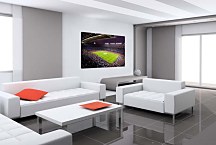 Obraz Štadión zs24436