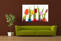 Obrazy KVETY - Tulipány zs6338