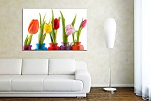 Obrazy KVETY - Tulipány zs6338