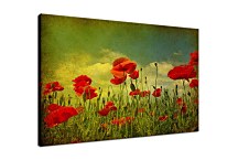 Obrazy Kvety Maky zs6374
