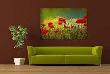 Obrazy Kvety Maky zs6374