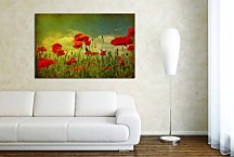 Obrazy Kvety Maky zs6374