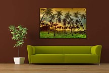 Obrazy Palmy zs5298