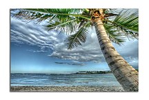 Obrazy Pláž  zs5184