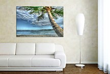 Obrazy Pláž  zs5184