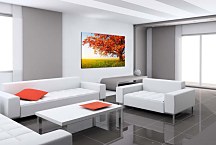 Obrazy Príroda Jeseň zs24411