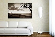 Obrazy Prírody a Krajinky zs4397