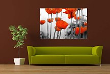 Obrazy do obývačky Divé Maky zs2015