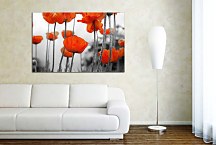 Obrazy do obývačky Divé Maky zs2015