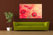 Obraz Divé Maky zs4312