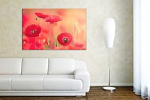 Obraz Divé Maky zs4312